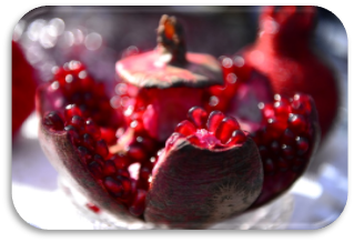 Pomegranate Holiday