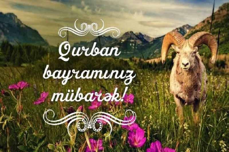 Qurban - qurban bayramı